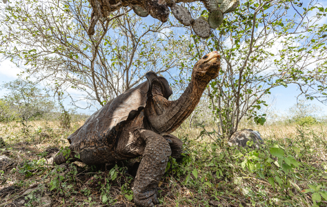 Diego © Andres Cruz