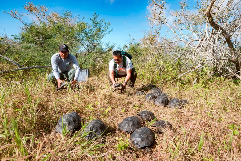 Galápagos Conservancy estuvo presente en el 10mo Congreso Mundial de Restauración Ecológica en Australia