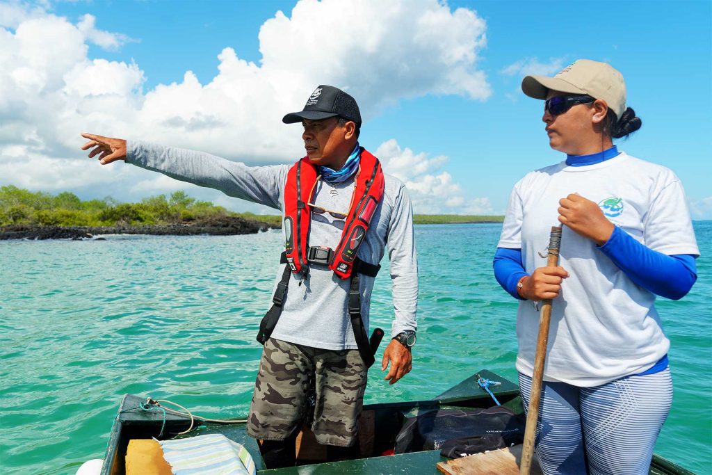 Galápagos Sharks: Monitoring for Conservation and Education