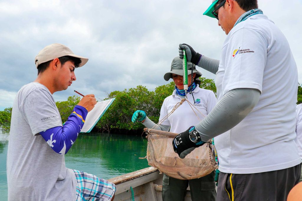 Galápagos Sharks: Monitoring for Conservation and Education