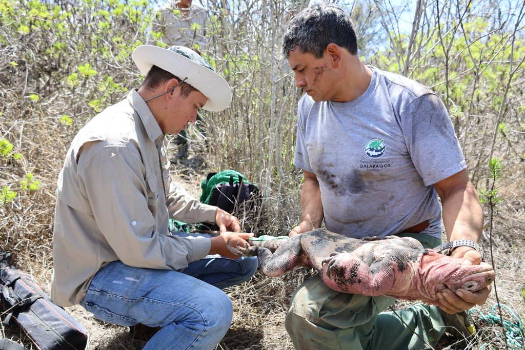 We Renew Our Commitment With the Galápagos National Park Directorate To Protect Galápagos for Future Generations