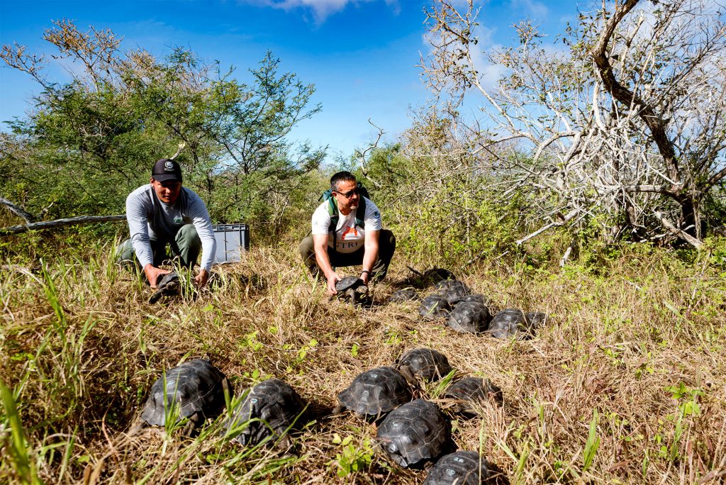 Espanolas-Guardians-Pioneering-Conservation-in-Galapagos-Archipelago