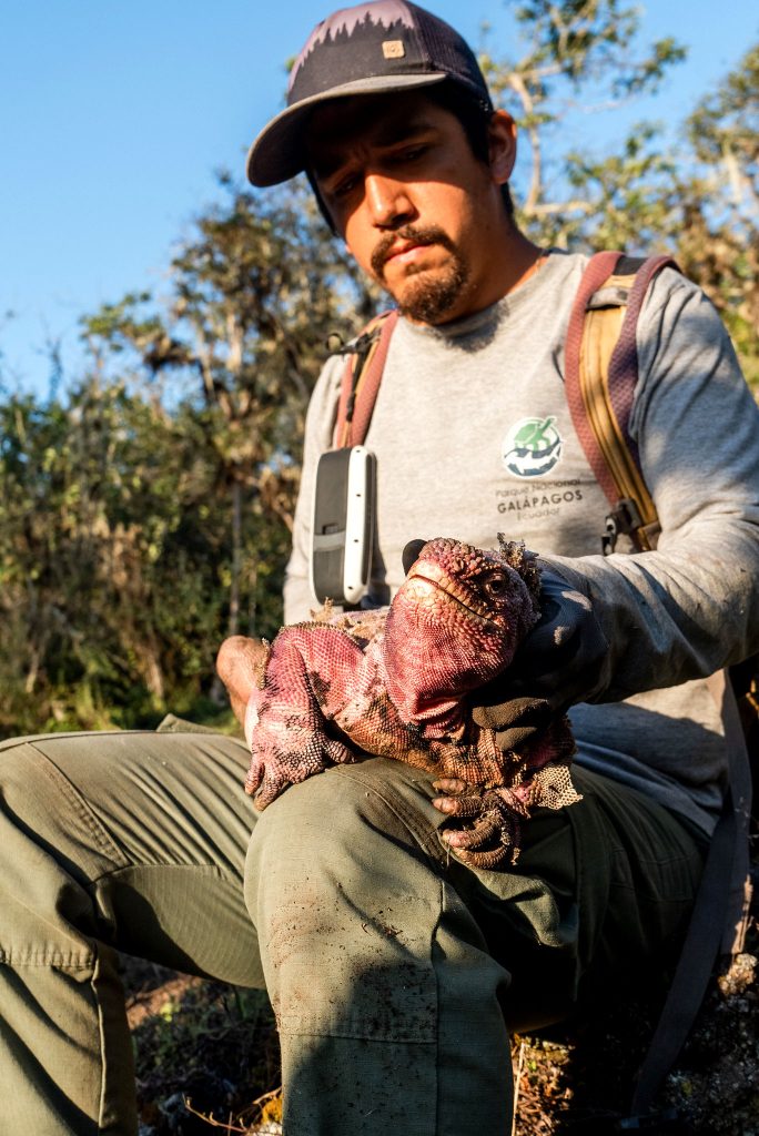jean pierre cadena a passionate park ranger dedicated to the conservation of galapagos