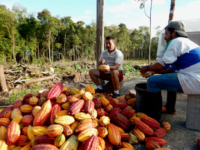 Swiss Chocolate Meets Island Conservation