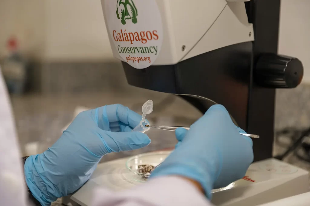 Renewing Our Support for the Galápagos Biosecurity and Quarantine Control Agency