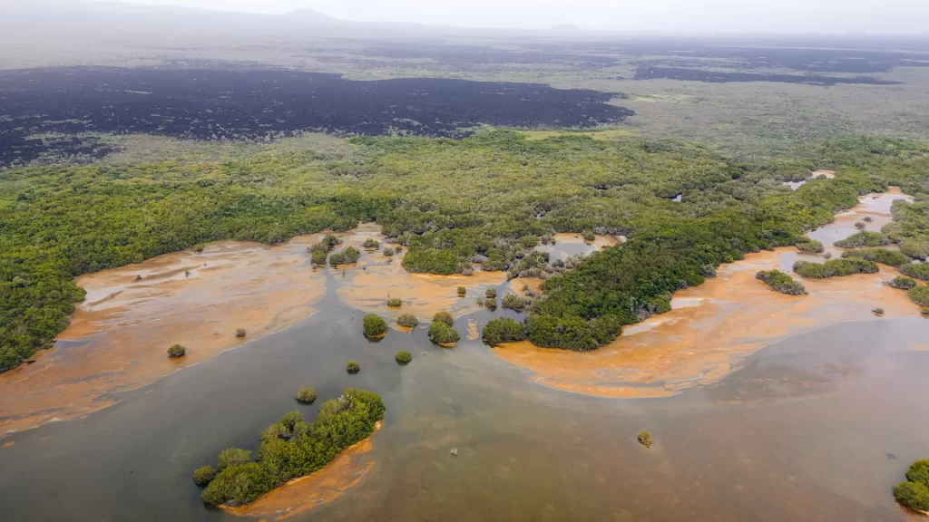 Galápagos Celebra el Día Internacional de los Humedales: Reconociendo la Importancia de Isabela como Sitio Ramsar