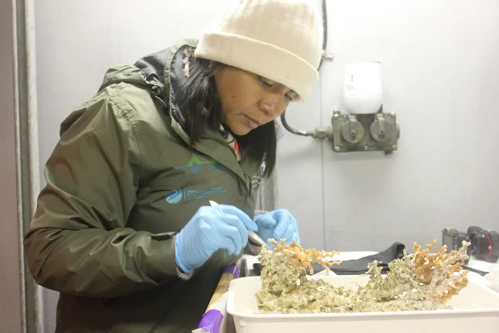 Jenifer Suárez y su lucha en Medio de los Desafíos Globales para los Arrecifes de Coral