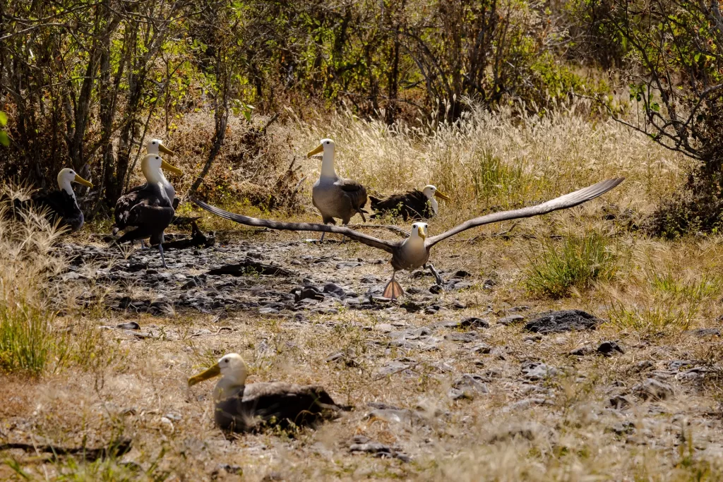 Expediciones de Conservación que Marcaron el 2023