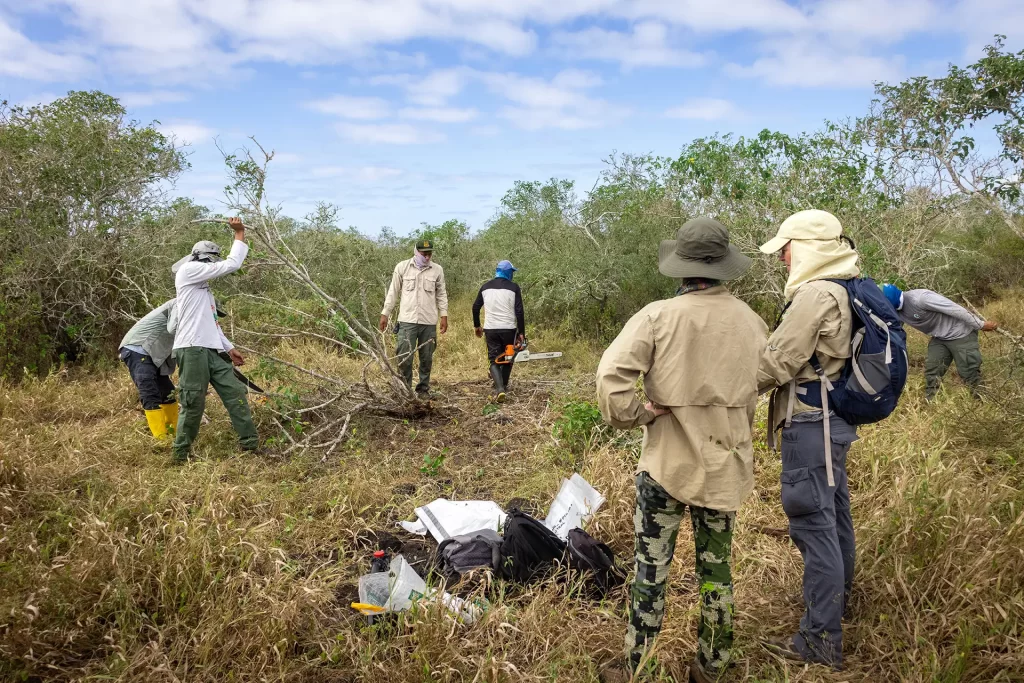 Exitosa Expedición para la Conservación de los Albatros en Galápagos