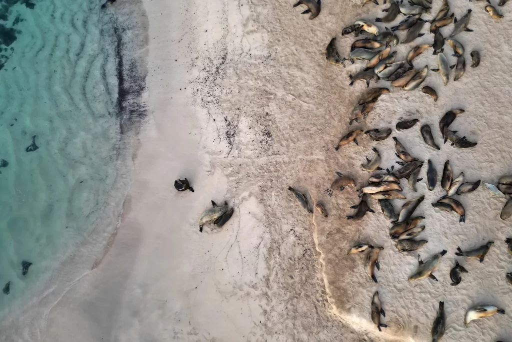 Celebrating World Environment Day with Galápagos Conservancy