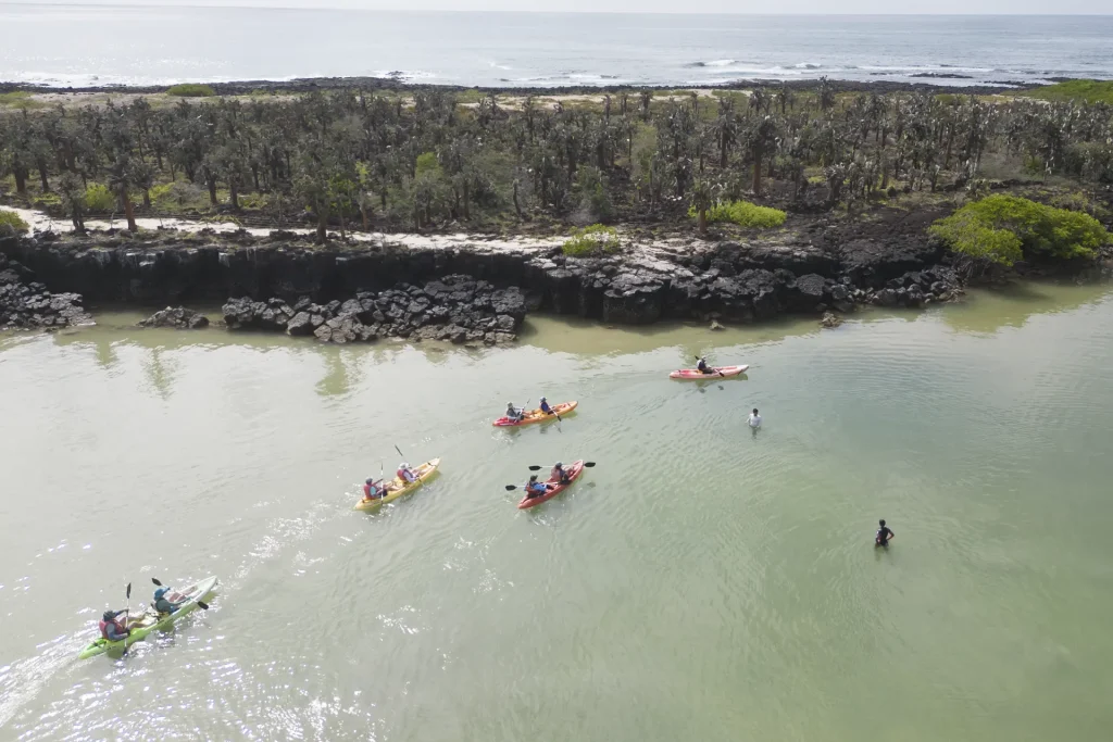 Conociendo el Impacto de los Cambios Estacionales en el Archipiélago de Galápagos