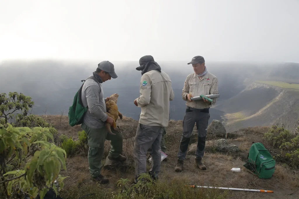 Conociendo el Impacto de los Cambios Estacionales en el Archipiélago de Galápagos