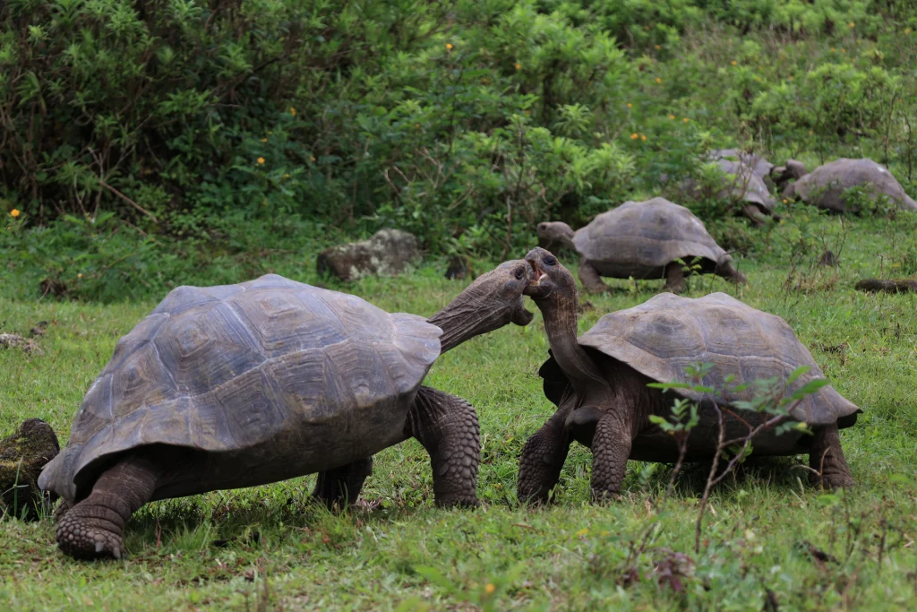 Compromiso con la Conservación de las Áreas Protegidas de Galápagos