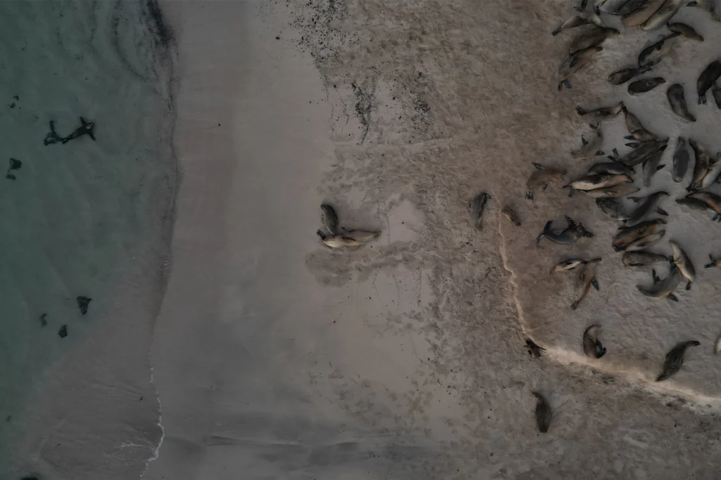 Compromiso con la Conservación de las Áreas Protegidas de Galápagos