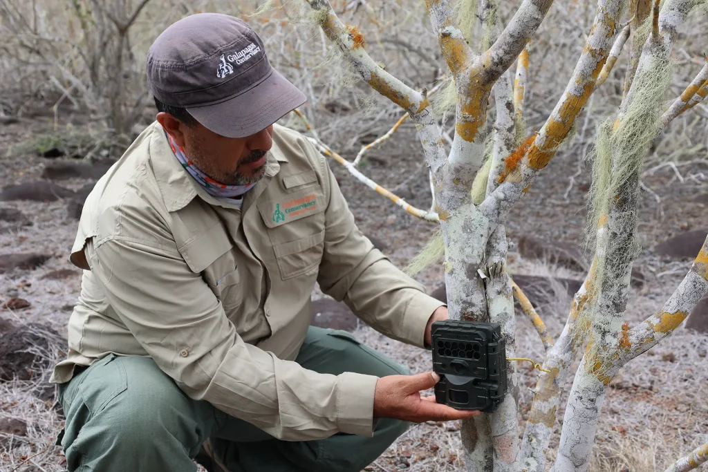 Trail Cameras: Silent Guardians of Galápagos Wildlife