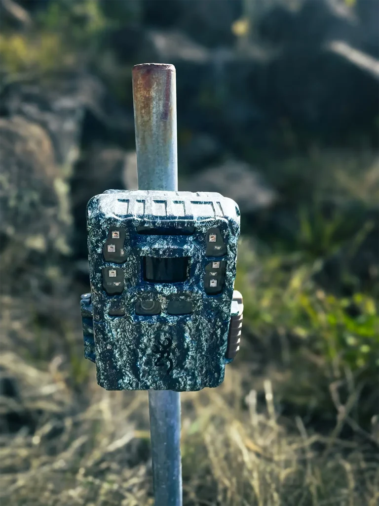 Cámaras Trampa: Guardianes Silenciosos de la Vida Silvestre