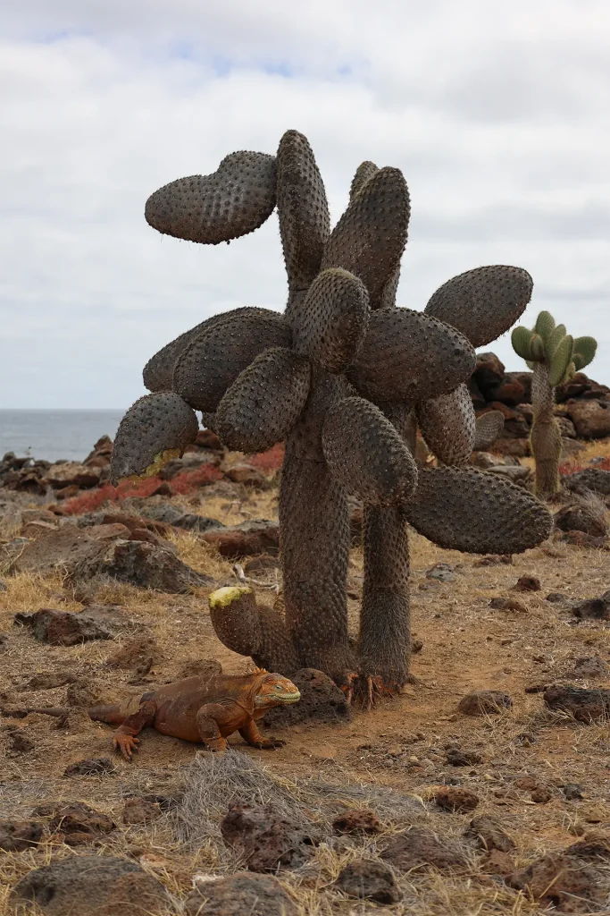 Celebrando el Día Internacional de los Parques Nacionales
