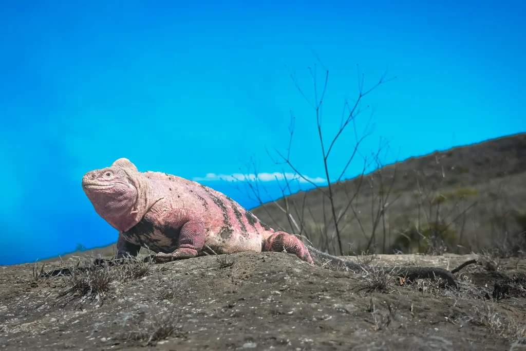Celebrando el Día Internacional de los Parques Nacionales