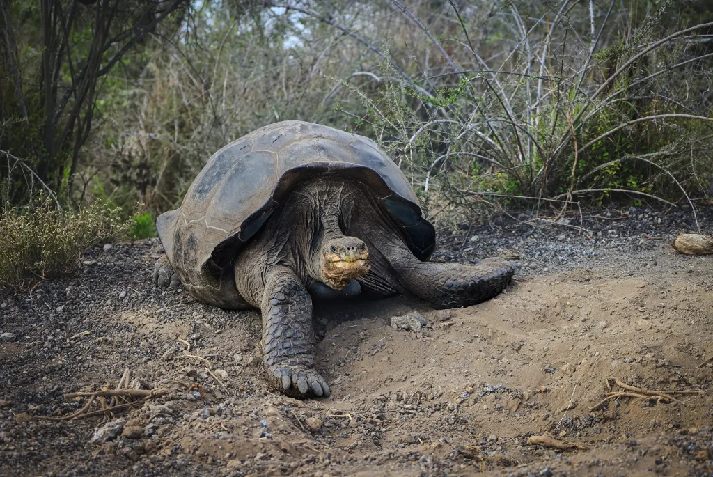 Celebrando el Día Internacional de los Parques Nacionales