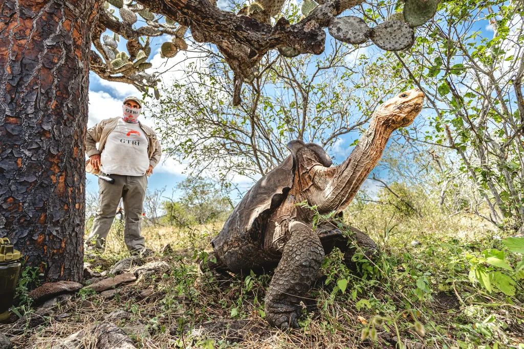 El Uso de Rastreadores Satelitales de Animales en Galápagos