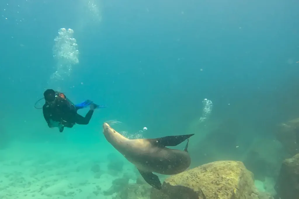 Jóvenes Scouts Protegiendo los Ecosistemas Marinos de Galápagos