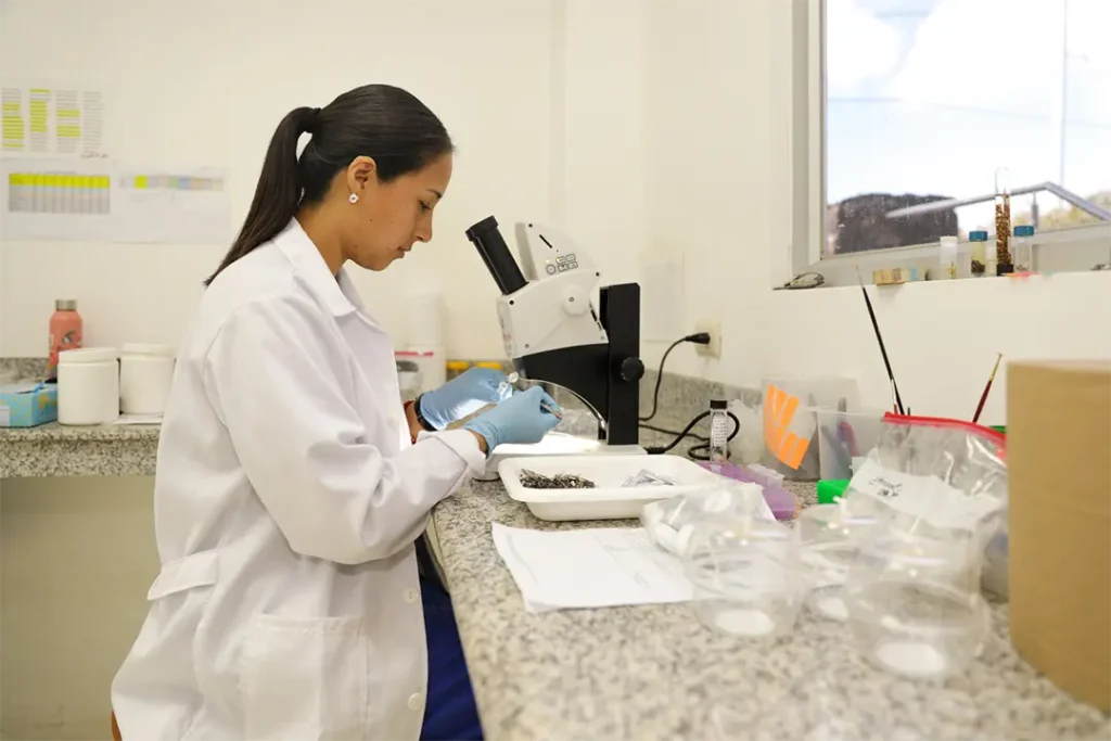 Especies Invasoras y Nuestra Lucha por Proteger Galápagos