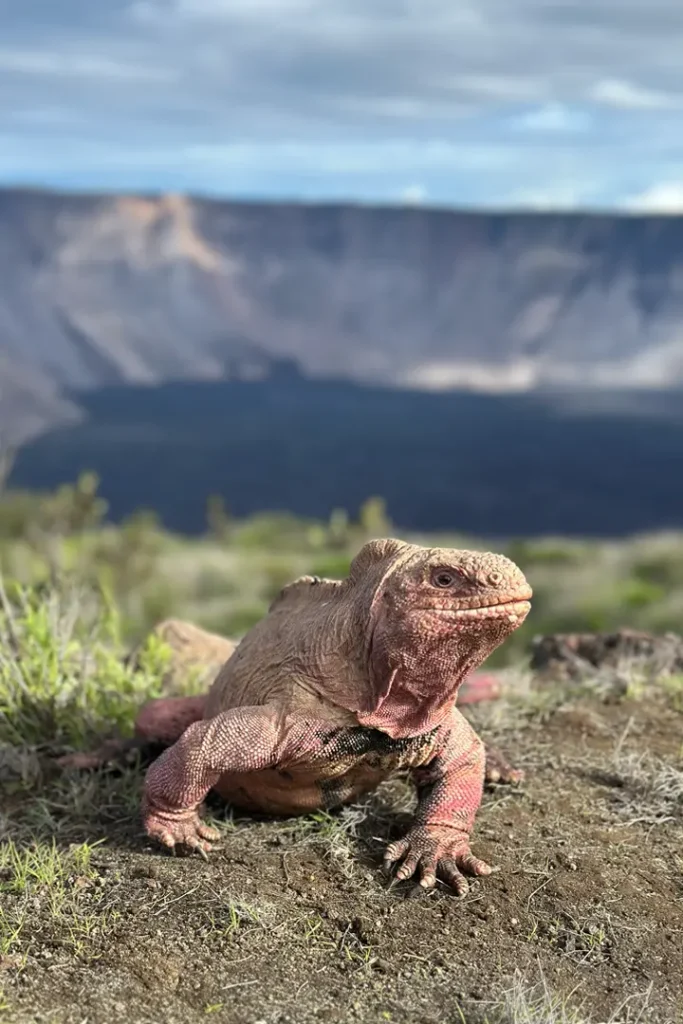 Un Encuentro Que Cambió la Historia de Galápagos