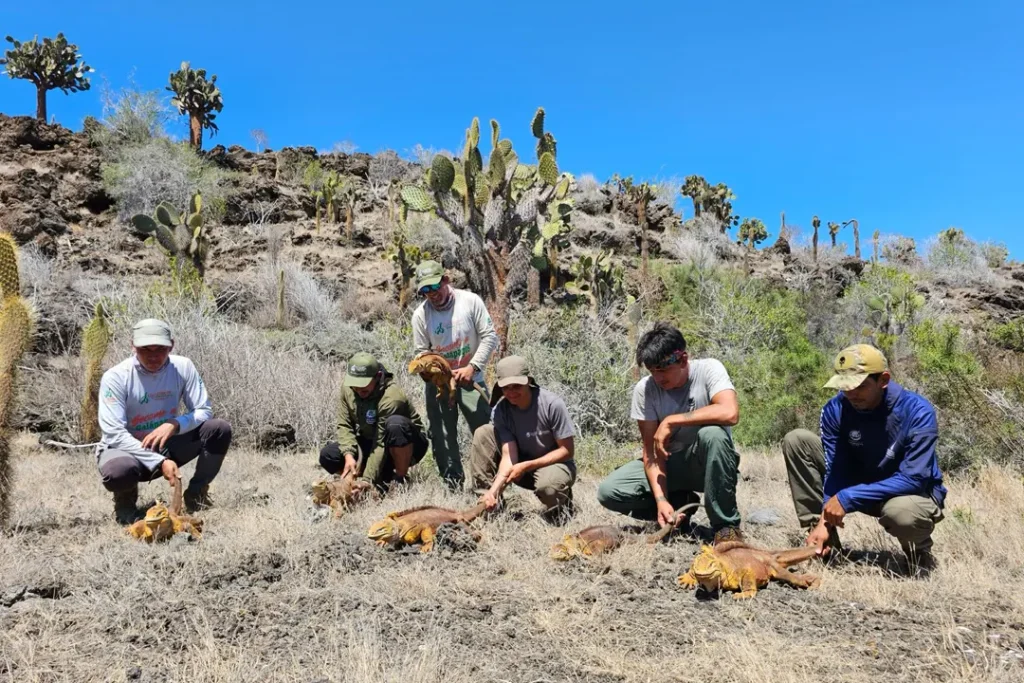 40 Years of Reptile Conservation in Galápagos