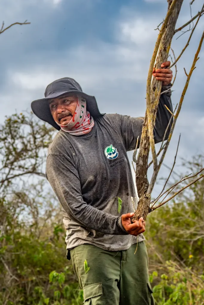 Española: An Island Reborn Through Science and Human Commitment