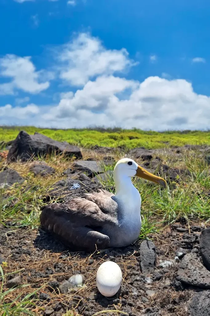 Española: An Island Reborn Through Science and Human Commitment