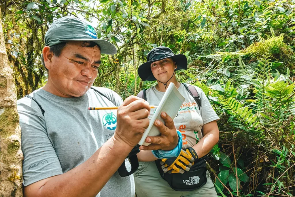 Science in Defense of an Endangered Species Petrel
