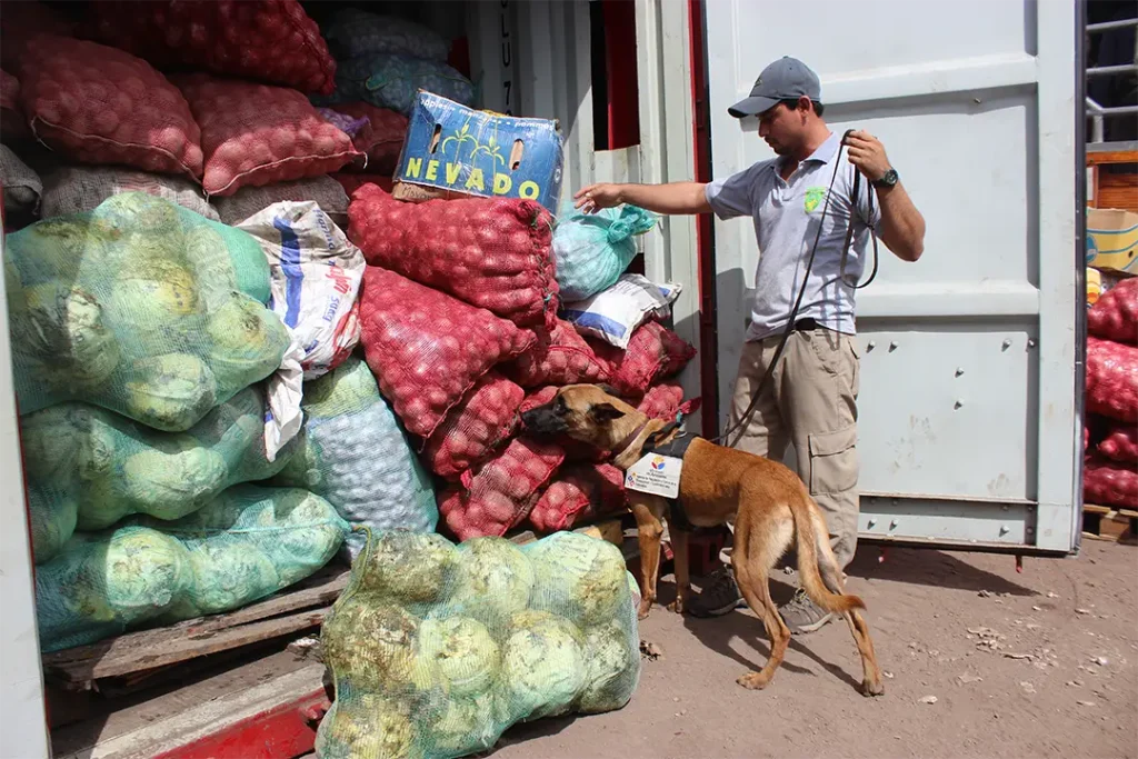 The Canine Brigade Defending the Galápagos Islands