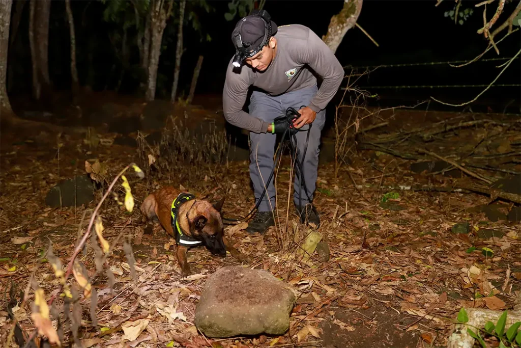 The Canine Brigade Defending the Galápagos Islands