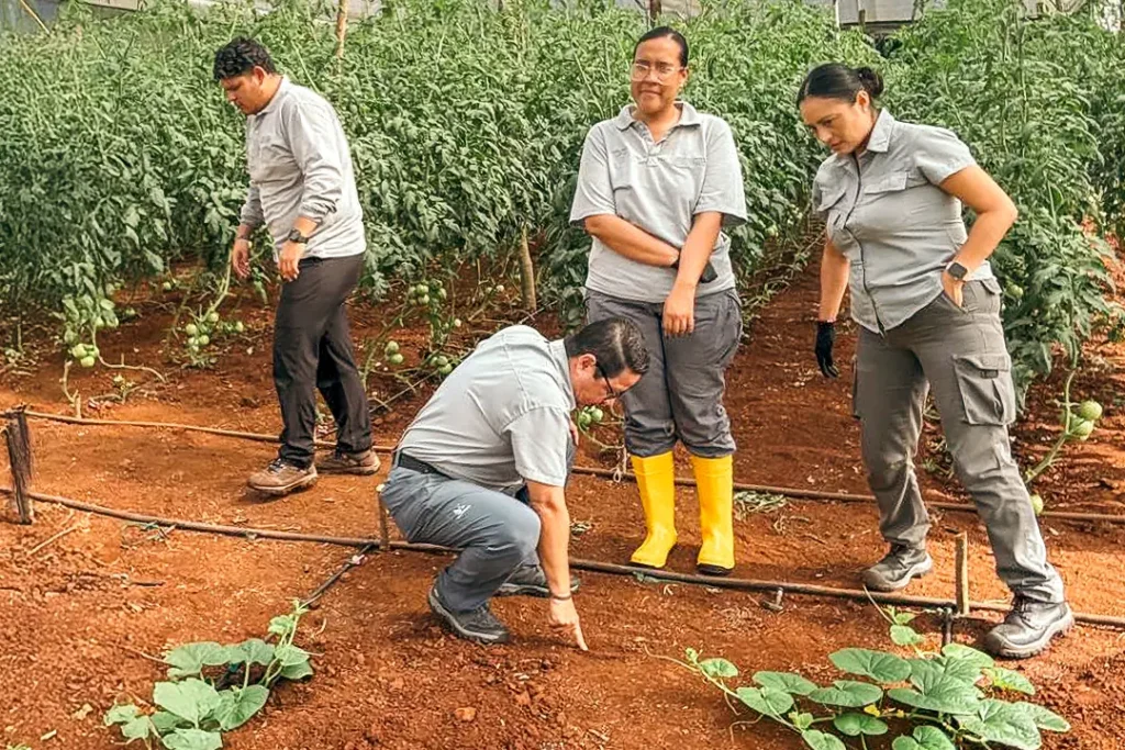 Galápagos Conservancy y ABG amplían el Monitoreo de Pesticidas