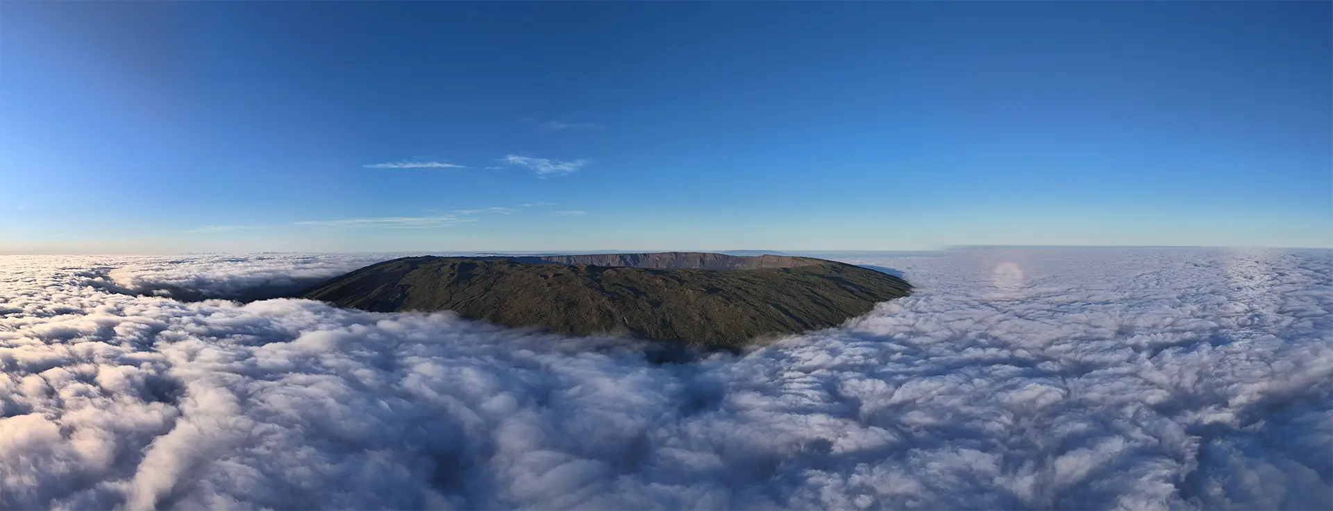 Científicos de Galápagos Conservancy han redescubierto crías de la iguana rosada
