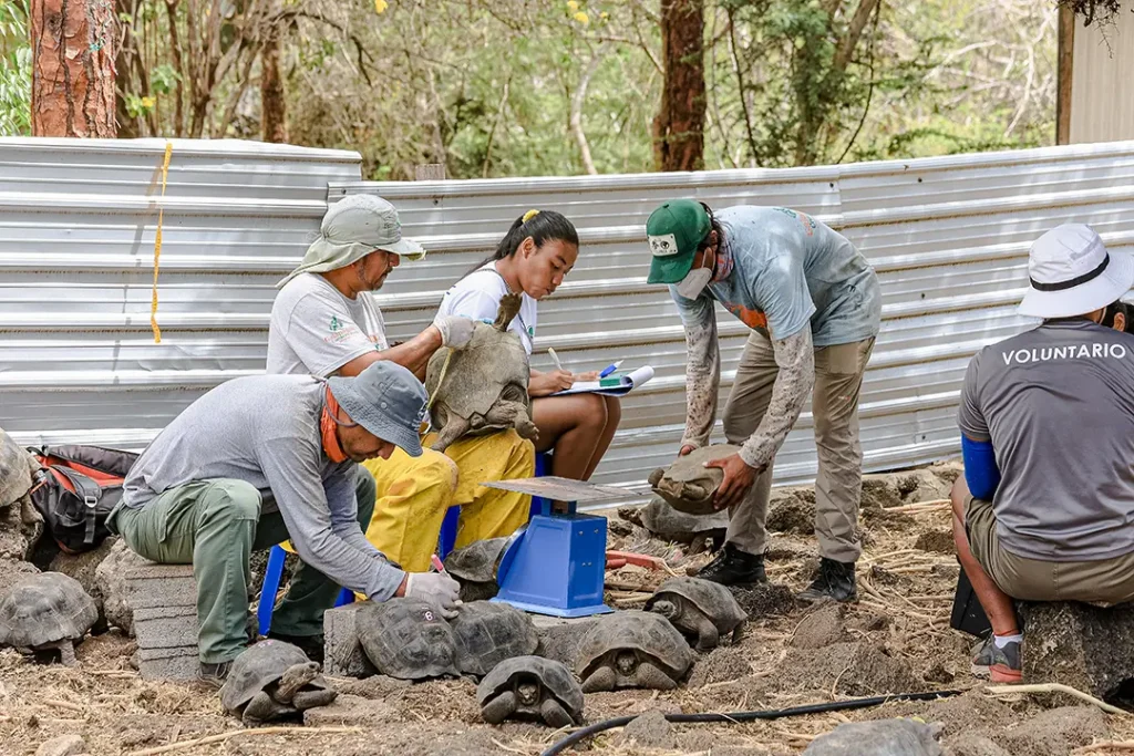 Floreana: The Eden That Breathes Again