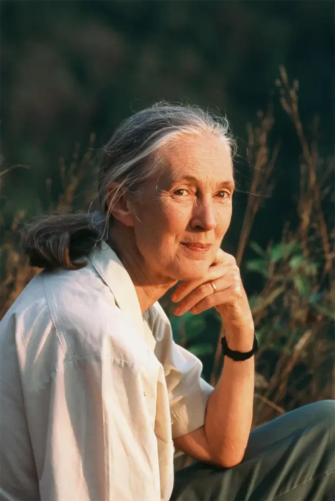 Galápagos Conservancy Honors the Life and Legacy of Jane Goodall
