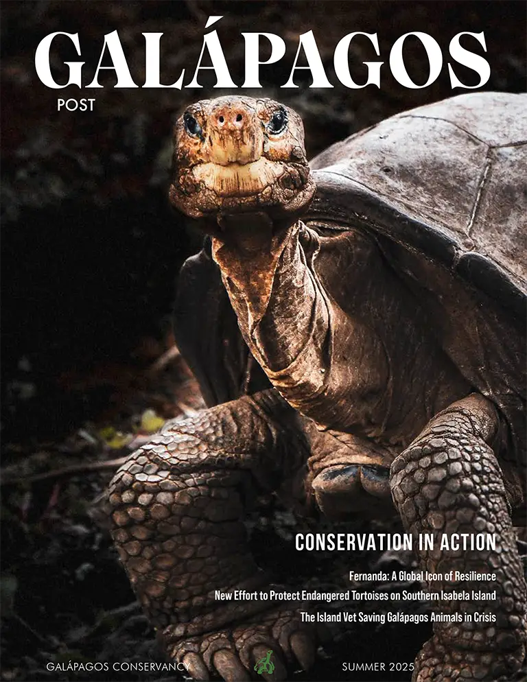Galápagos Post Summer 2025 Galápagos Conservancy