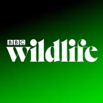 BBC’s Wildlife Magazine