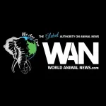 Wold Animal News