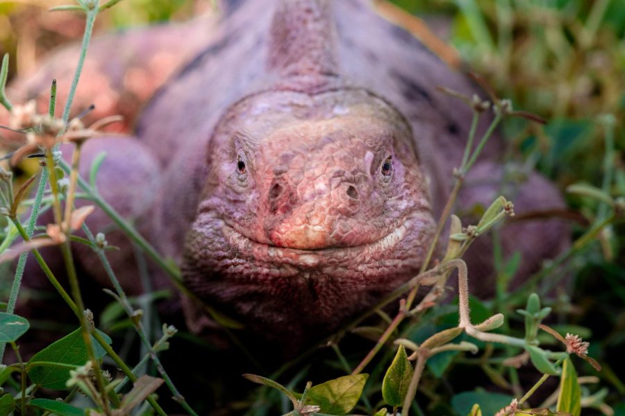 61fb001056f036e38a8a3e2e_2021-08-05 16.08.05-min