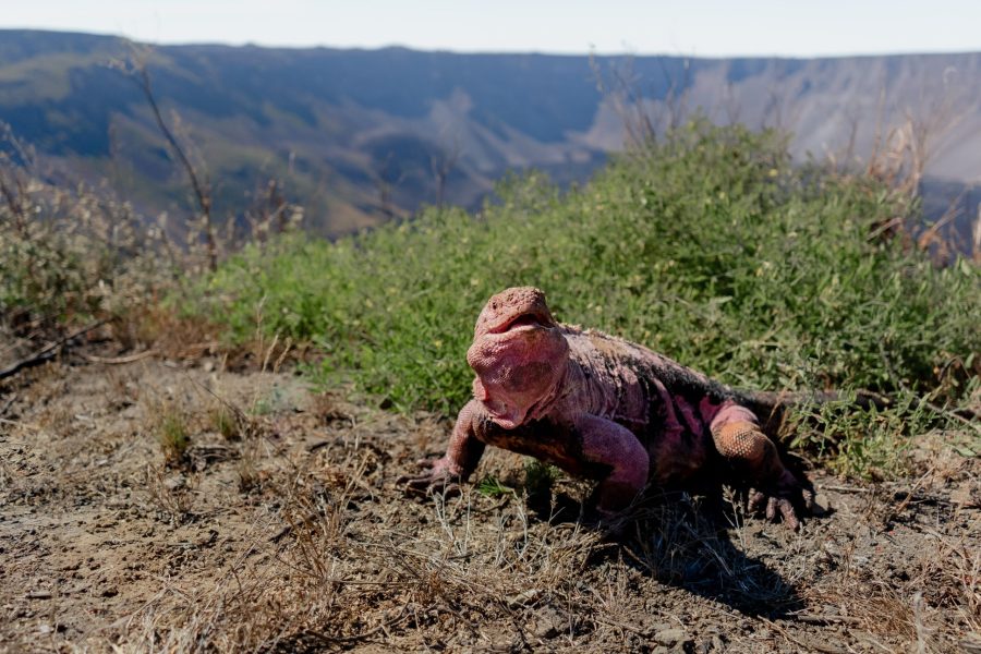 61fb00128a79831d331fa62f_2021-08-06 09.19.54-min