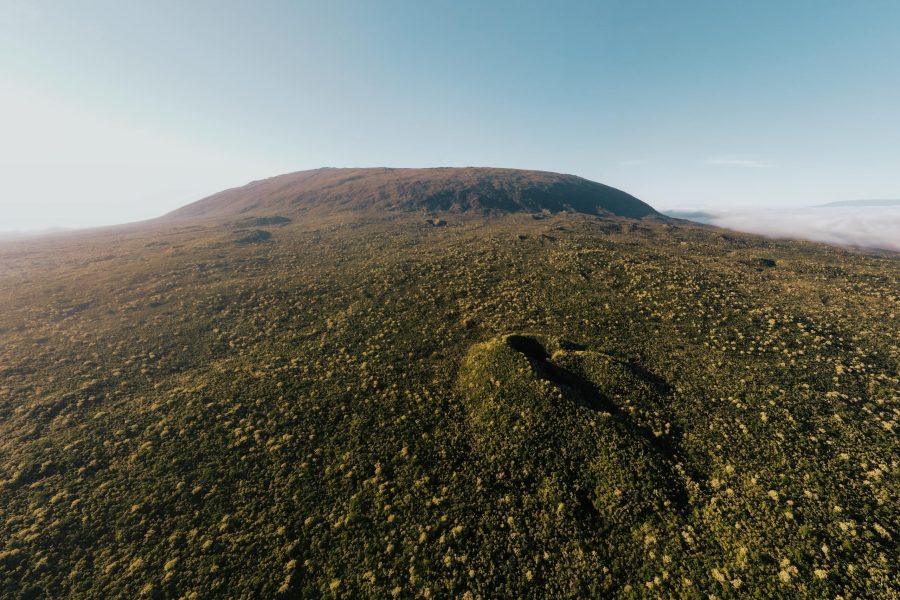 61fb0012a3653af3855595ce_2021-08-04 06.19.53-min