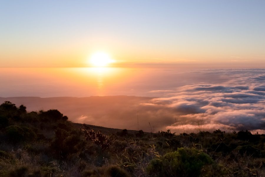 Wolf Volcano by Joshua Vela/Galápagos Conservancy