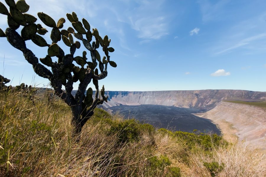Wolf Volcano by Joshua Vela/Galápagos Conservancy