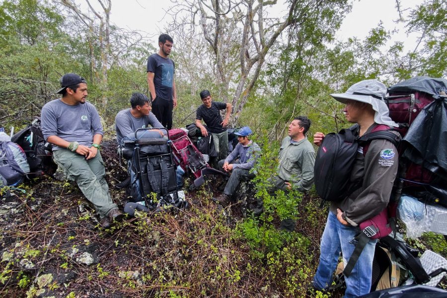 61fb00f19c3125d382fcc0de_2021-08-03 11.47.10-min