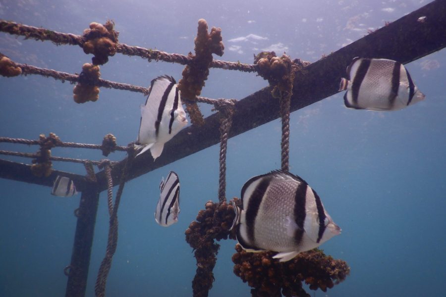 © Galápagos National Park