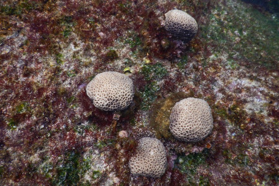 © Galápagos National Park