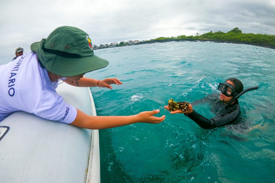 © Galápagos National Park