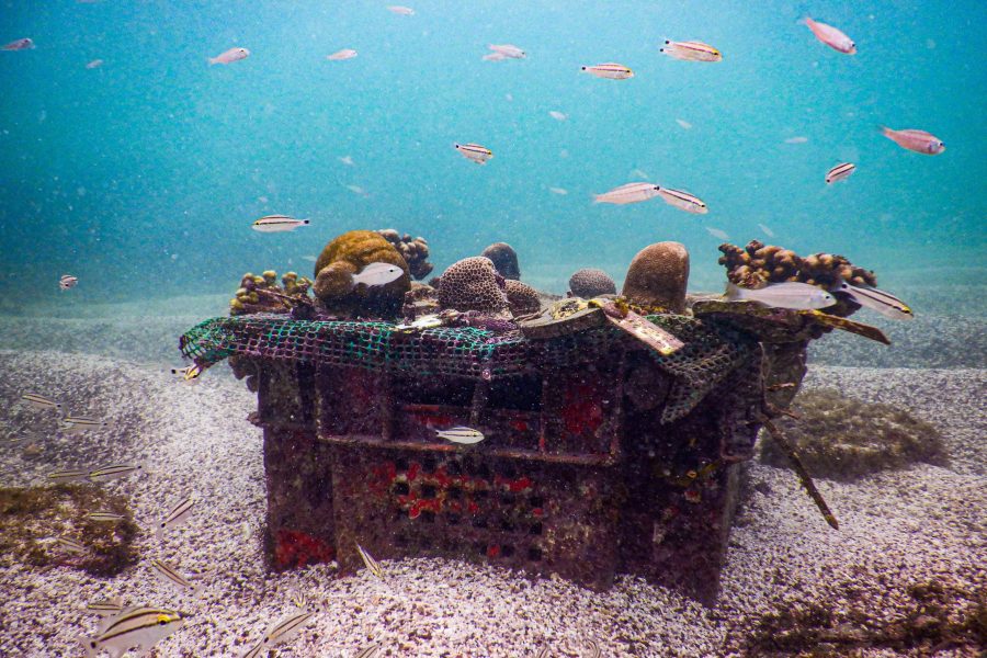 © Galápagos National Park